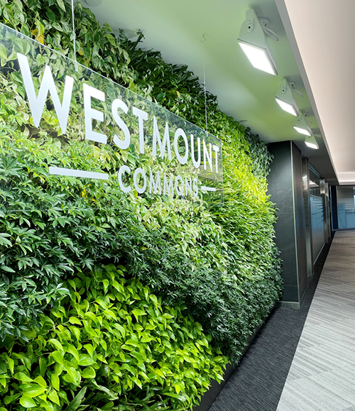 Davis Martindale | Westmount Commons Living Wall at Entrance